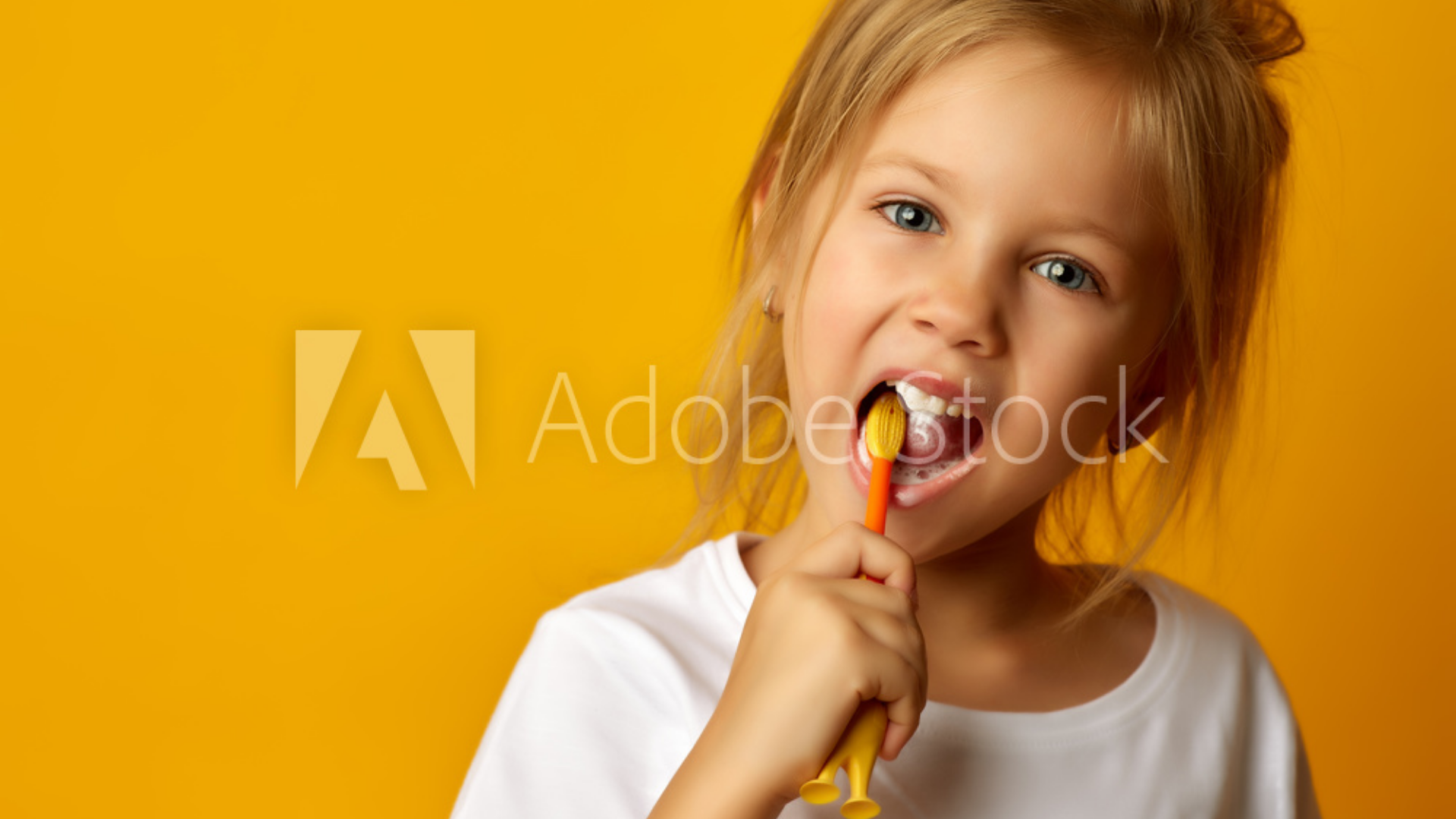  AdobeStock_231424801_Preview.png